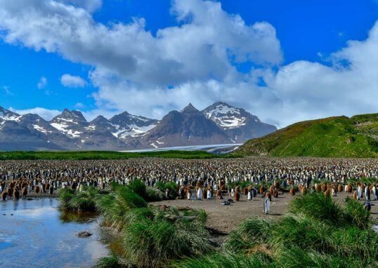 Falkland Islands
